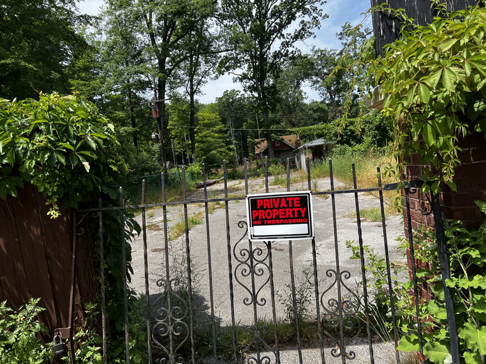 Deer Forest - July 2 2022 Photo (newer photo)